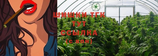 прущие грибы Нея