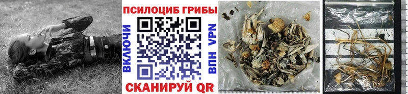 Галлюциногенные грибы мухоморы  купить   Черногорск 